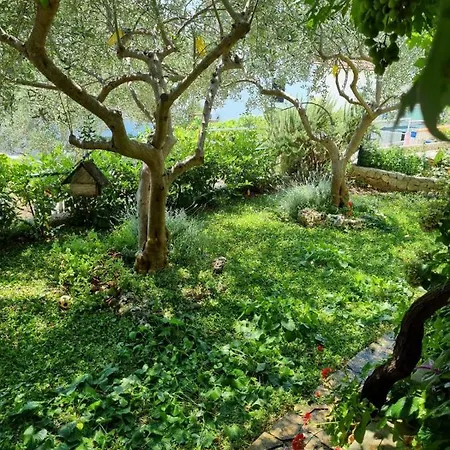 Appartamento Summer House 