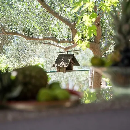 Appartement Summer House 