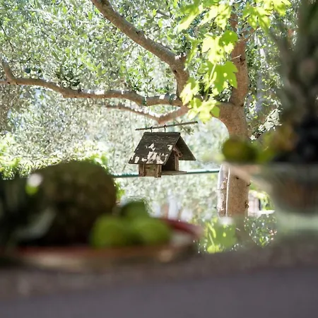 Appartamento Summer House 