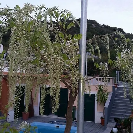 Apartment Summer House 