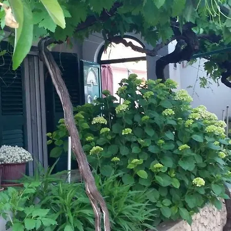 Summer House 
