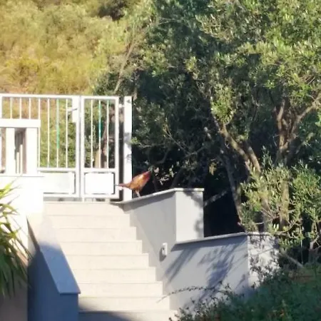 Summer House 