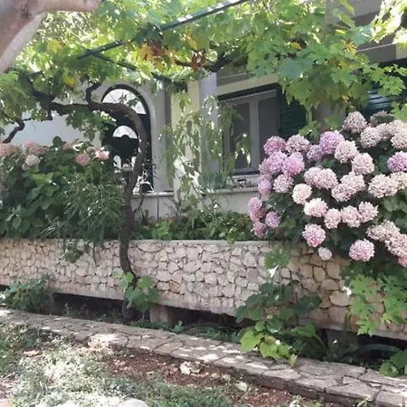 Summer House 